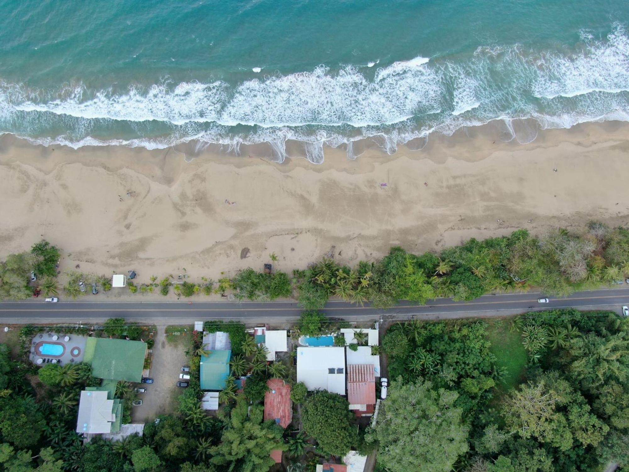 Cariblue Beach And Jungle Resort Puerto Viejo de Talamanca Cameră foto