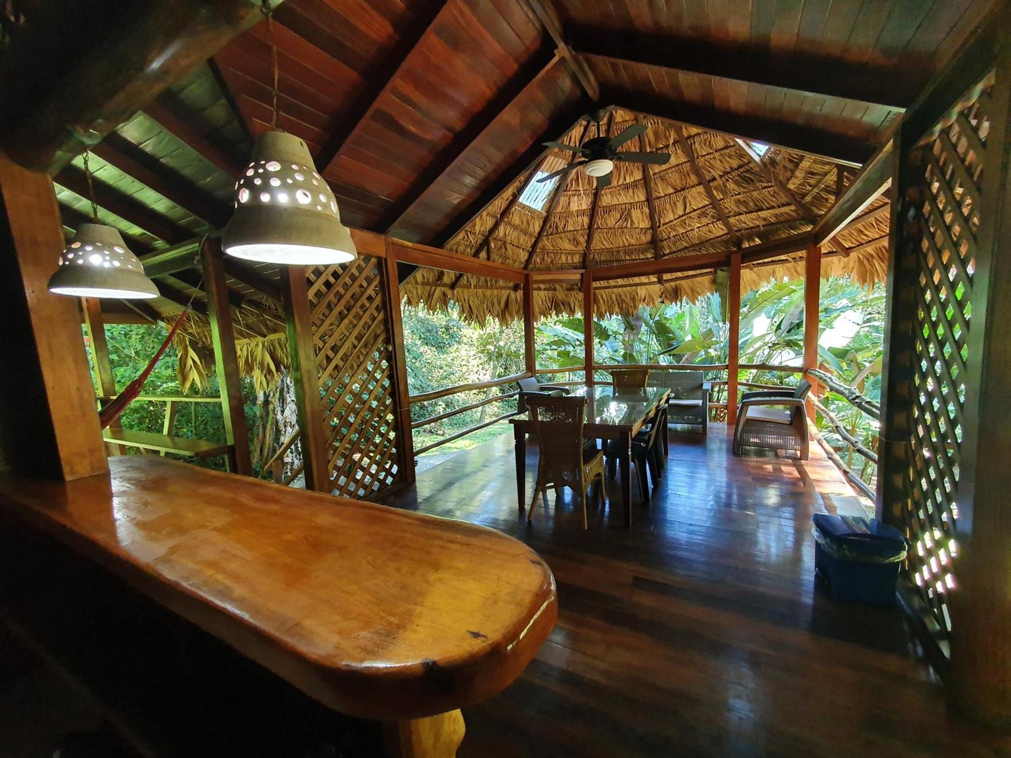 Cariblue Beach And Jungle Resort Puerto Viejo de Talamanca Cameră foto