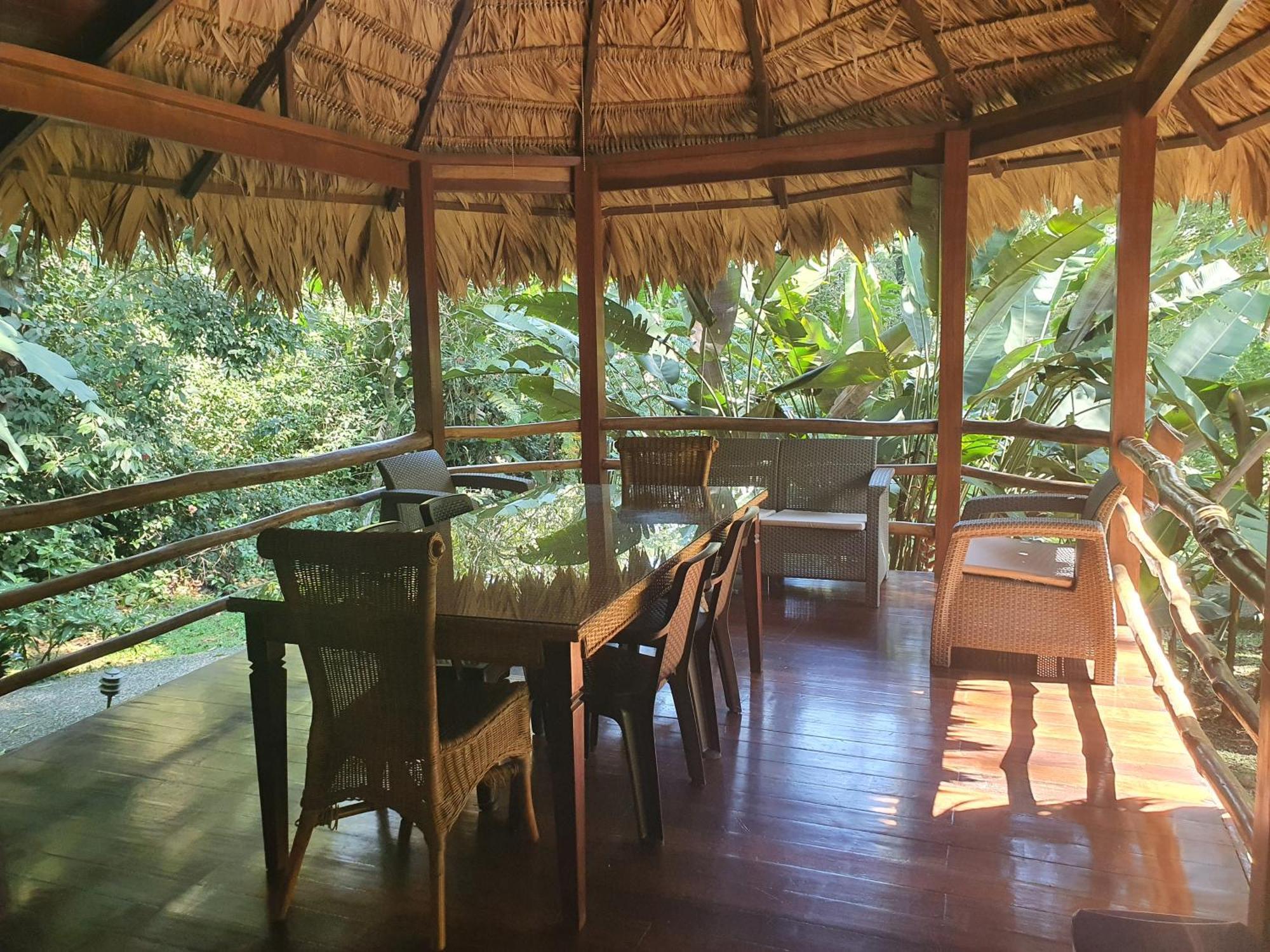 Cariblue Beach And Jungle Resort Puerto Viejo de Talamanca Cameră foto